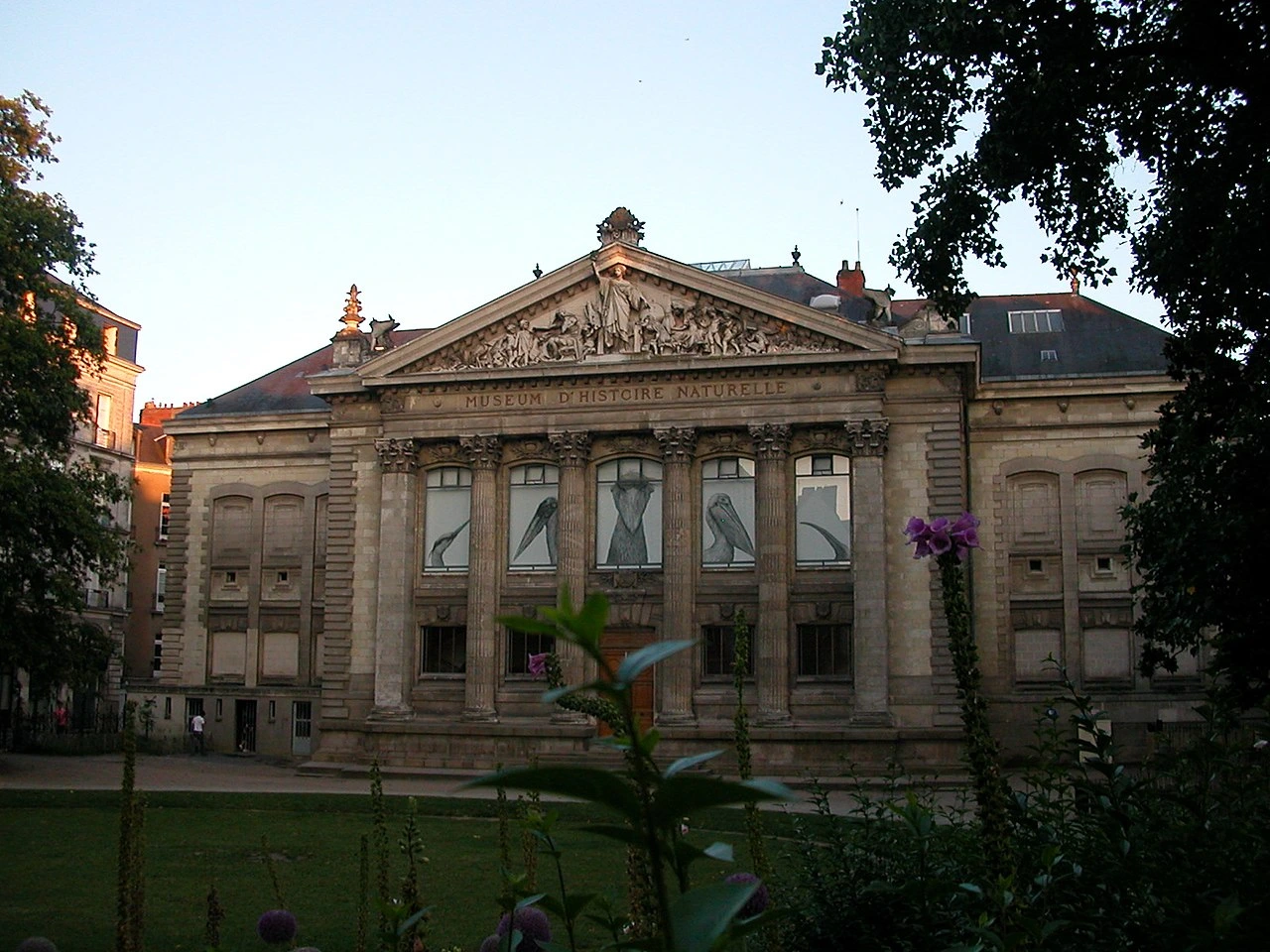 Restructuration du Museum d&rsquo;Histoire Naturelle